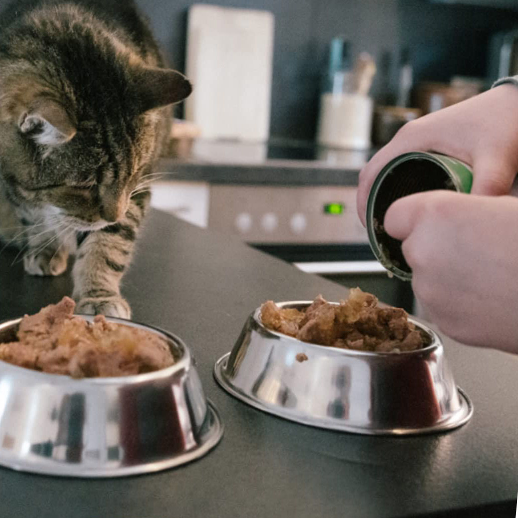 Pet food cans