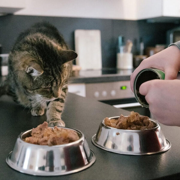 Pet Food Packaging